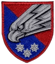 AFU unit patch 2