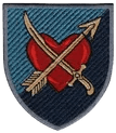 AFU unit patch 6